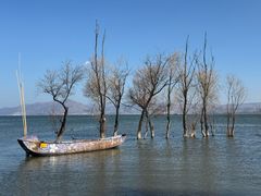 -洱海月湿地公园
