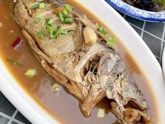 太湖野生桂鱼-美味之家·湖景农家乐(太湖东山店)
