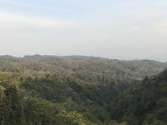 -山王坪喀斯特国家生态公园