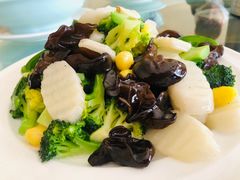 鲜淮山炒木耳-大连湾旭日饭店(大连湾店)
