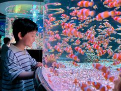 -海合安成都极地海洋公园