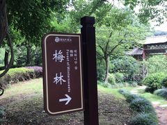 -白马涧龙池景区