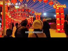 -沈阳奥体冰雪嘉年华