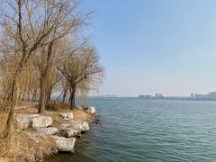 -南湖国家城市湿地公园