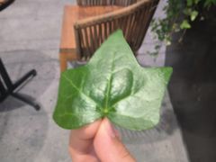 -开能健康科技园(川大路店)