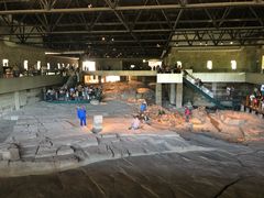 -自贡恐龙博物馆