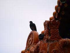 -大召寺明清一条街