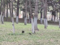-黛秀湖公园