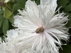 -洛阳市隋唐城遗址植物园