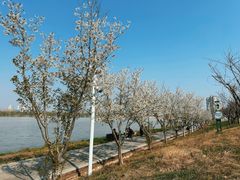 -灞河西岸滨河公园