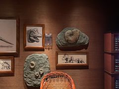 -哈蒙德餐厅