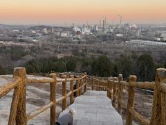 -白水寺森林公园