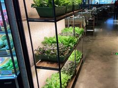 大堂-番食园鲜食火锅(高新店)