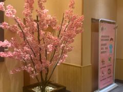 -大江户·温泉洗浴(浑南店)