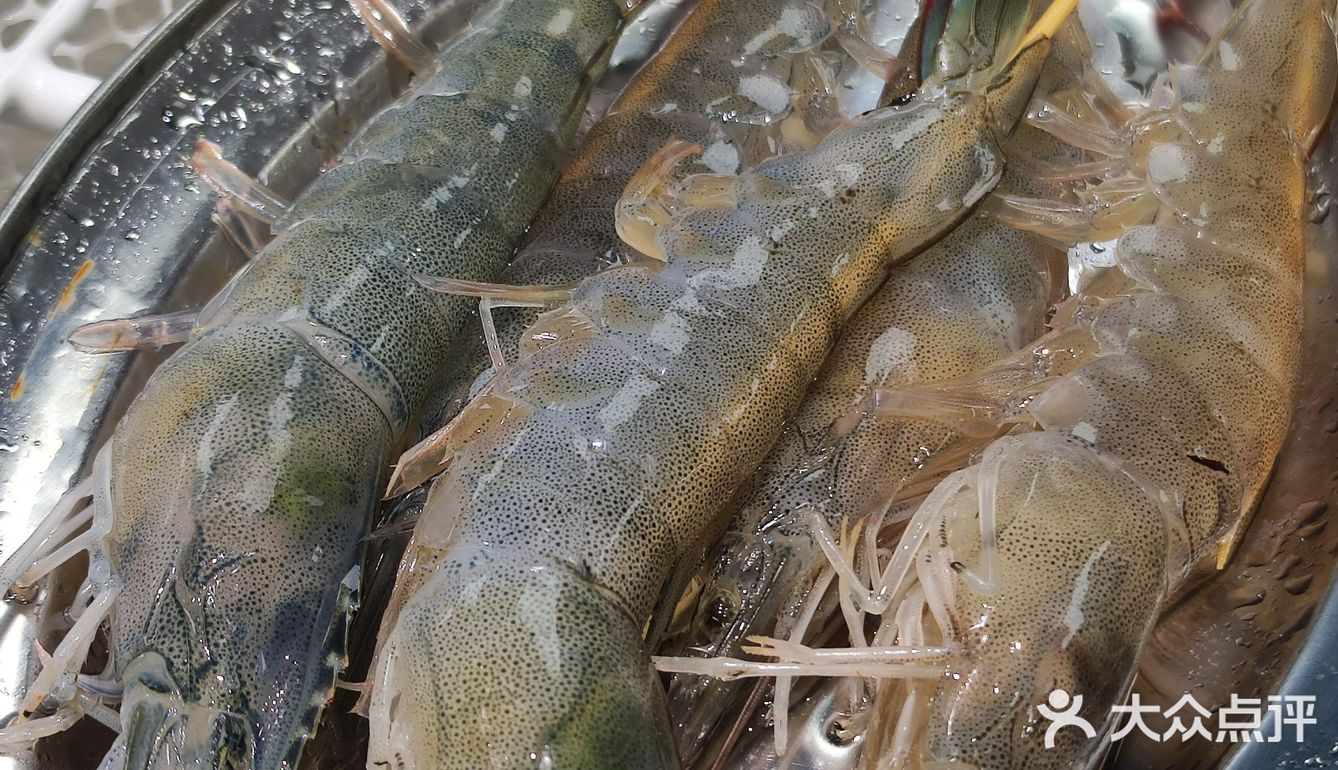 你敢相信吗？买单只要1.32元！