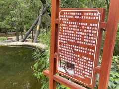 -灵溪风景区