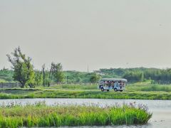 -良渚古城遗址公园