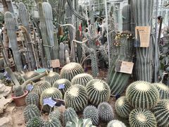 -国家植物园南园