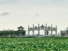-呼兰河口湿地公园