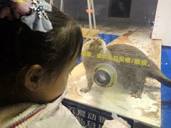 -大连圣亚海洋世界