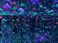 -杭州西湖星空魔幻城(星空艺术馆品牌旗舰店)