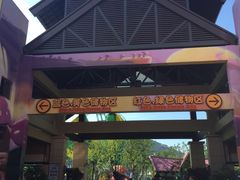 -苏州乐园森林水世界