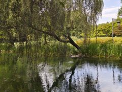 -西湖风景区-江洋畈生态公园