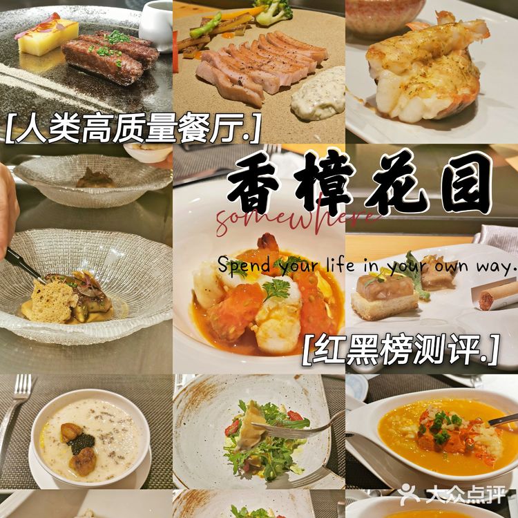 人类高质量餐厅测评