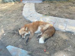 -无锡动物园·太湖欢乐园