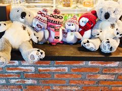 -了不起的考拉咖啡店(高新店)