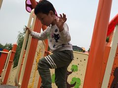 -白马涧龙池景区