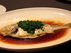 古法蒸大黄鱼-上海滩餐厅(BFC外滩金融中心店)