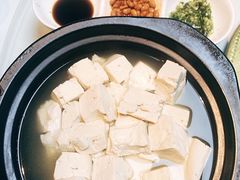 老豆腐-梧桐老院子