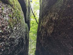 -汤旺河林海奇石景区