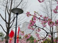 -静安雕塑公园