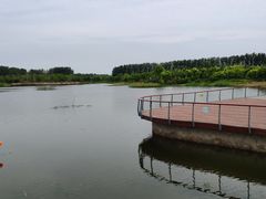 -东郊湿地公园