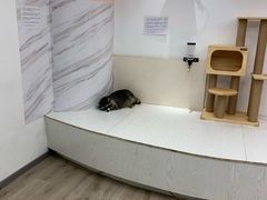 -浣熊柯尔鸭土拨鼠·电玩咖