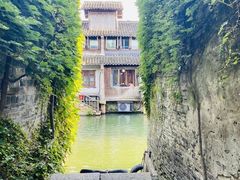 -乌镇景区