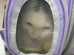 -联合动物医院(光谷诊疗中心)