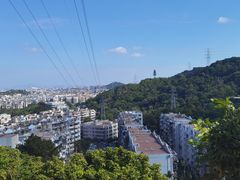 -仙岳公园