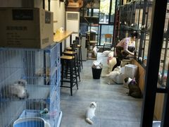 大堂-顺旺基大厨现炒(凯德店)