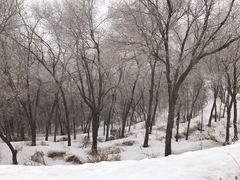 -水磨沟公园