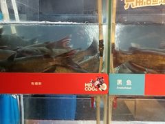 -鱼酷活鱼烤鱼(人信汇商场店)