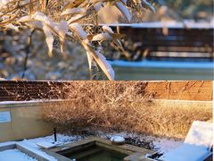 -大连金石滩绿发温泉假日酒店