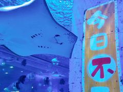 -顺德南宏海立方海洋公园