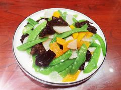 -邵年鸽(杨庄店)