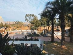 -三圣花乡旅游区