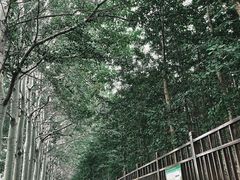 -张家湾公园