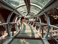 -香港大学