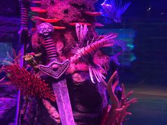 -沈阳海洋探索中心